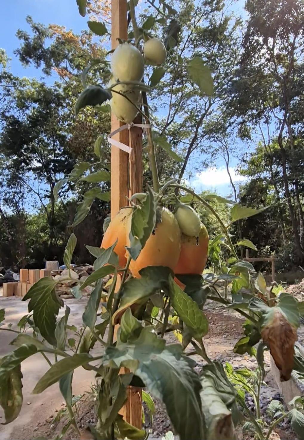 Pousada Verde Villas Brumadinho Εξωτερικό φωτογραφία