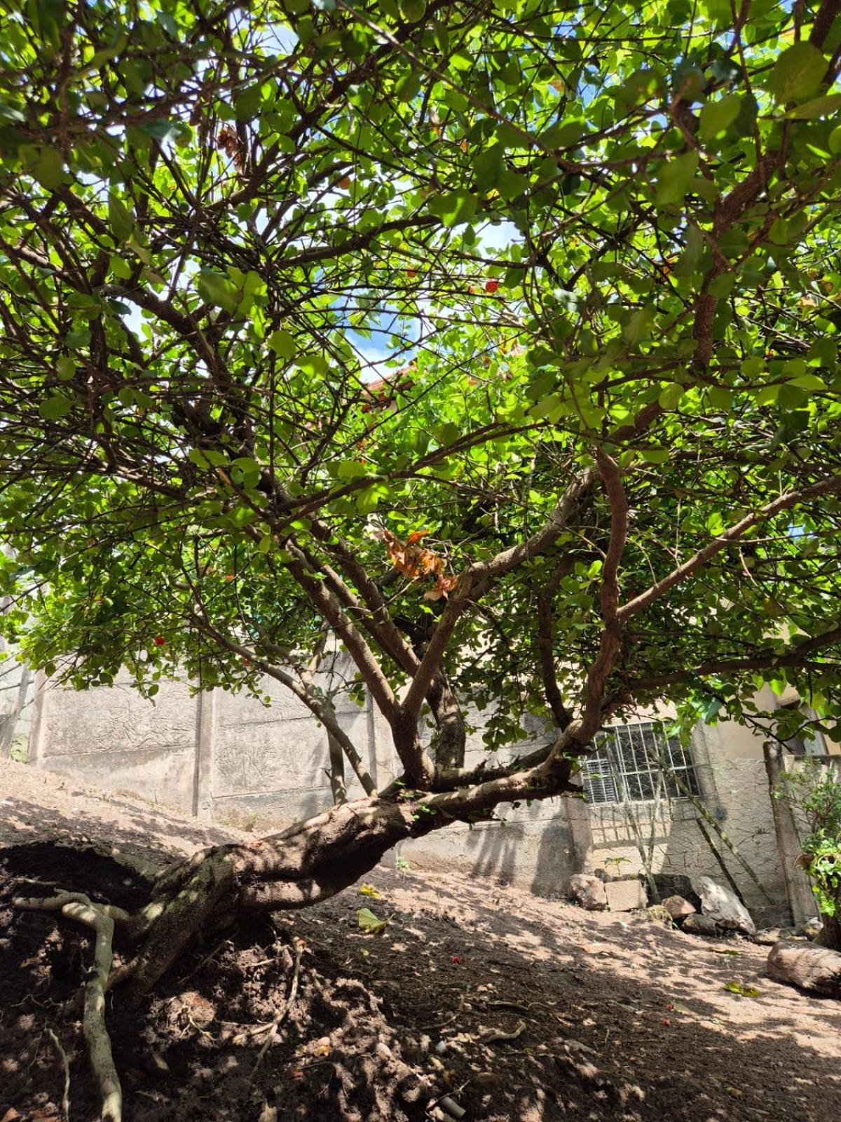 Pousada Verde Villas Brumadinho Εξωτερικό φωτογραφία