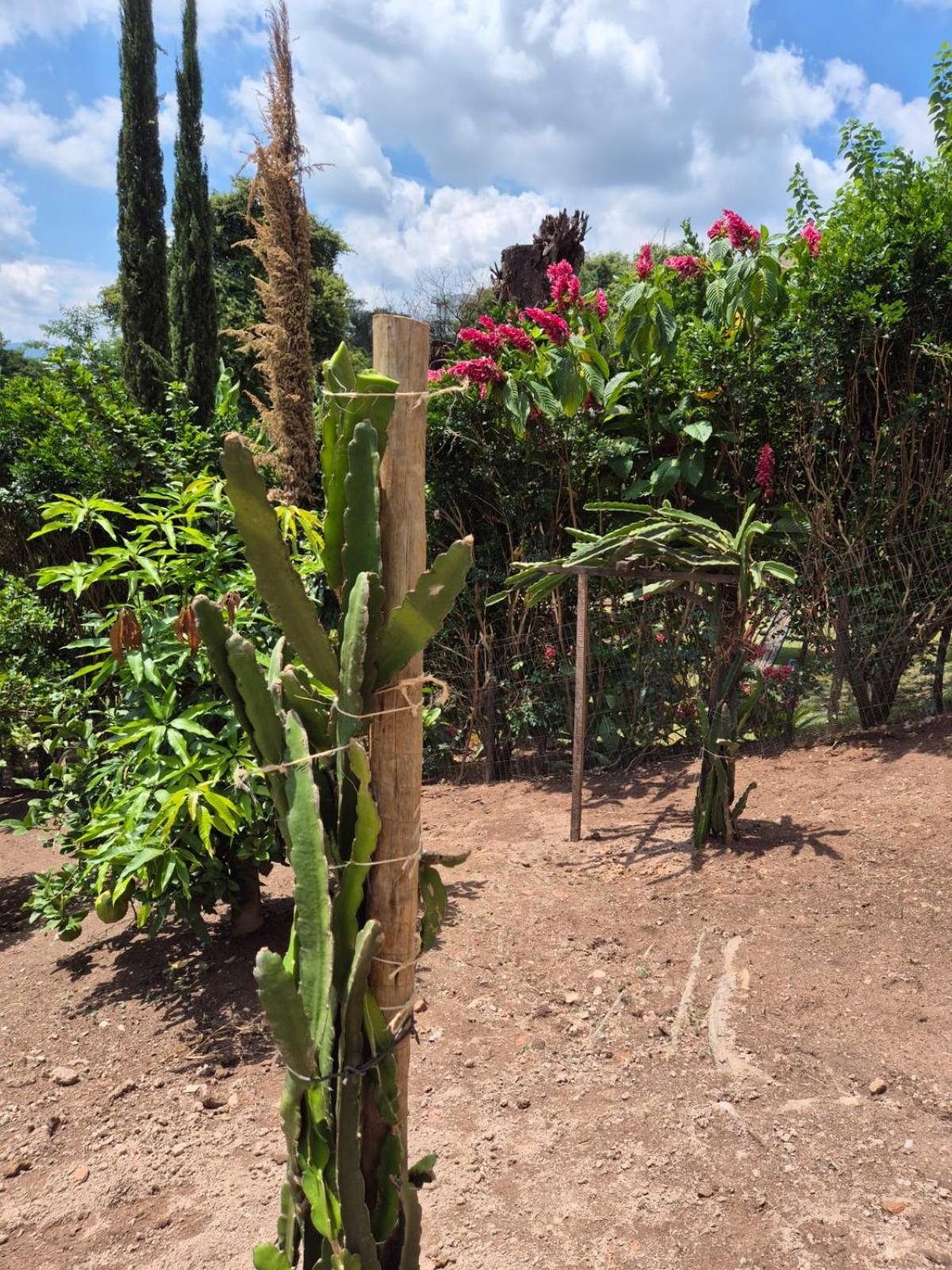 Pousada Verde Villas Brumadinho Εξωτερικό φωτογραφία